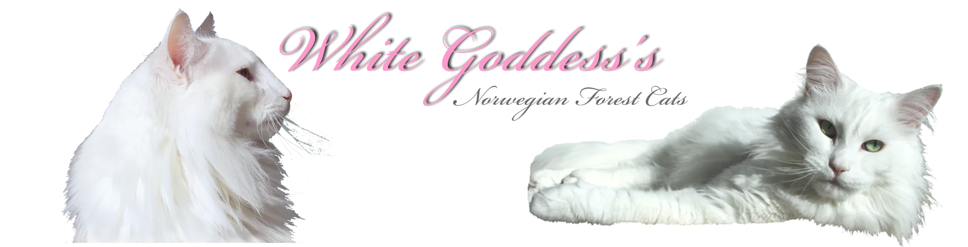 White Goddess's Logo