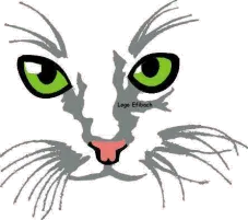 vom Efibach Logo