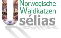 Usélias Logo