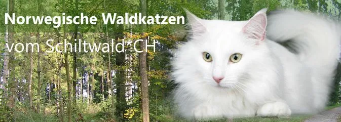 vom Schiltwald Logo