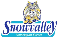 vom Snowvalley Logo